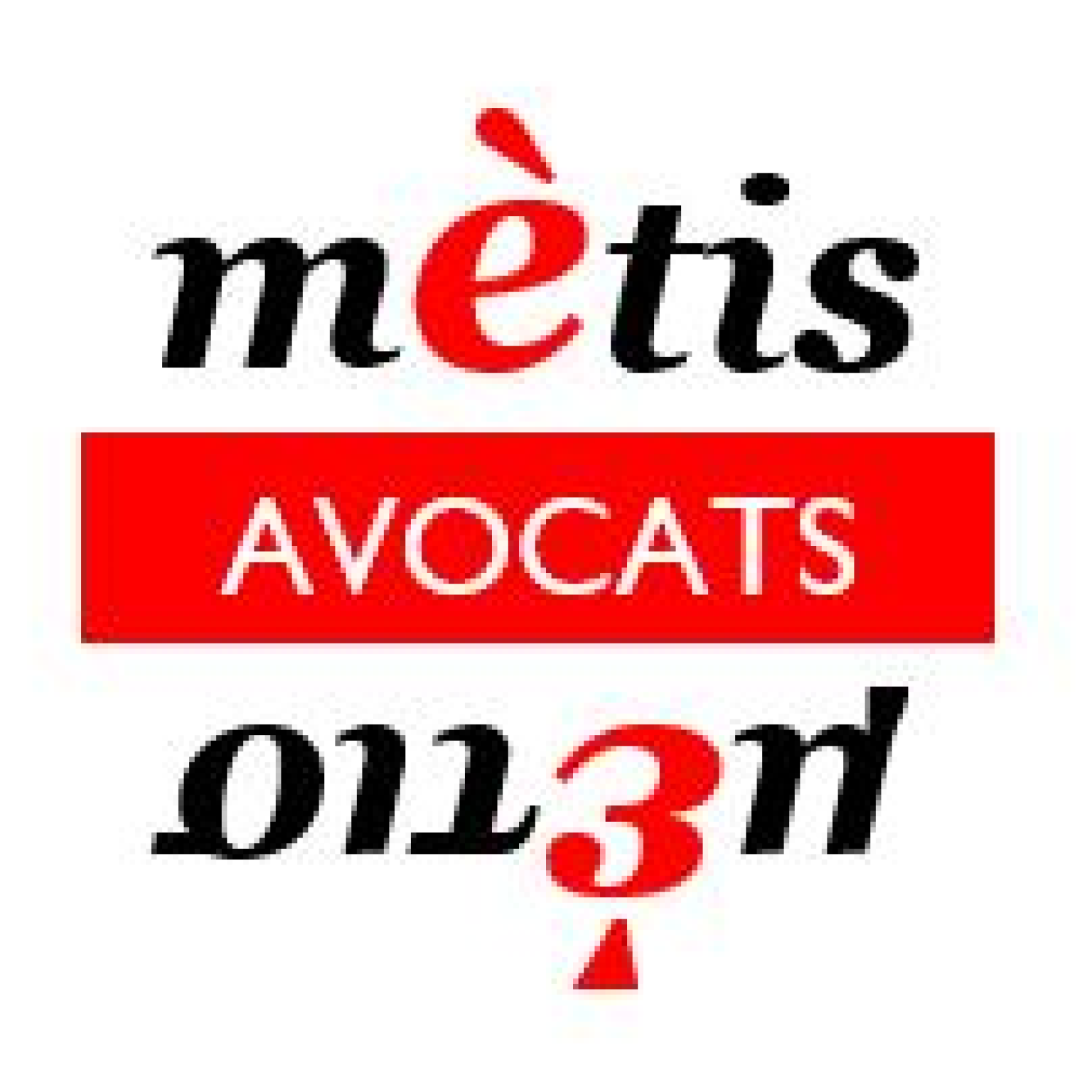 logo-metis-3d